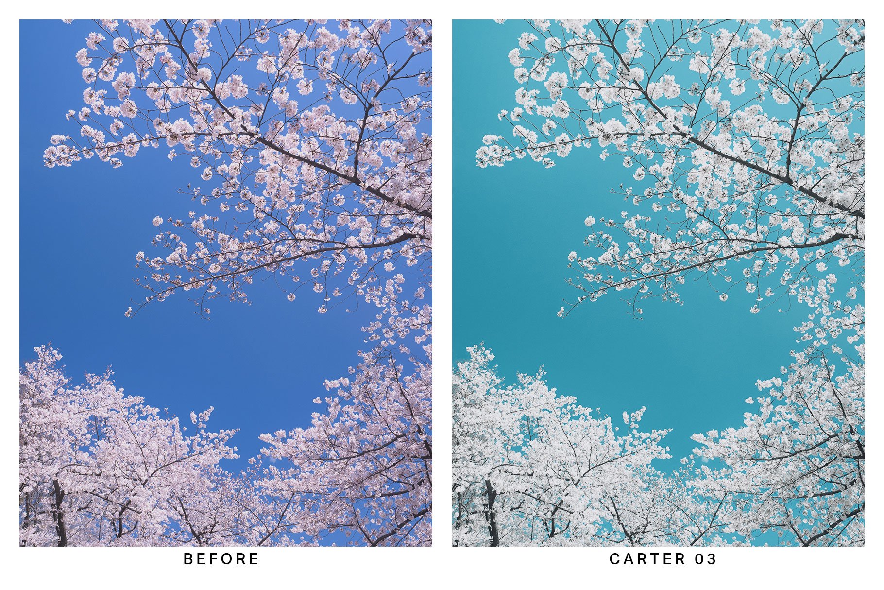 20 Azure Lightroom Presets and LUTspreview image.