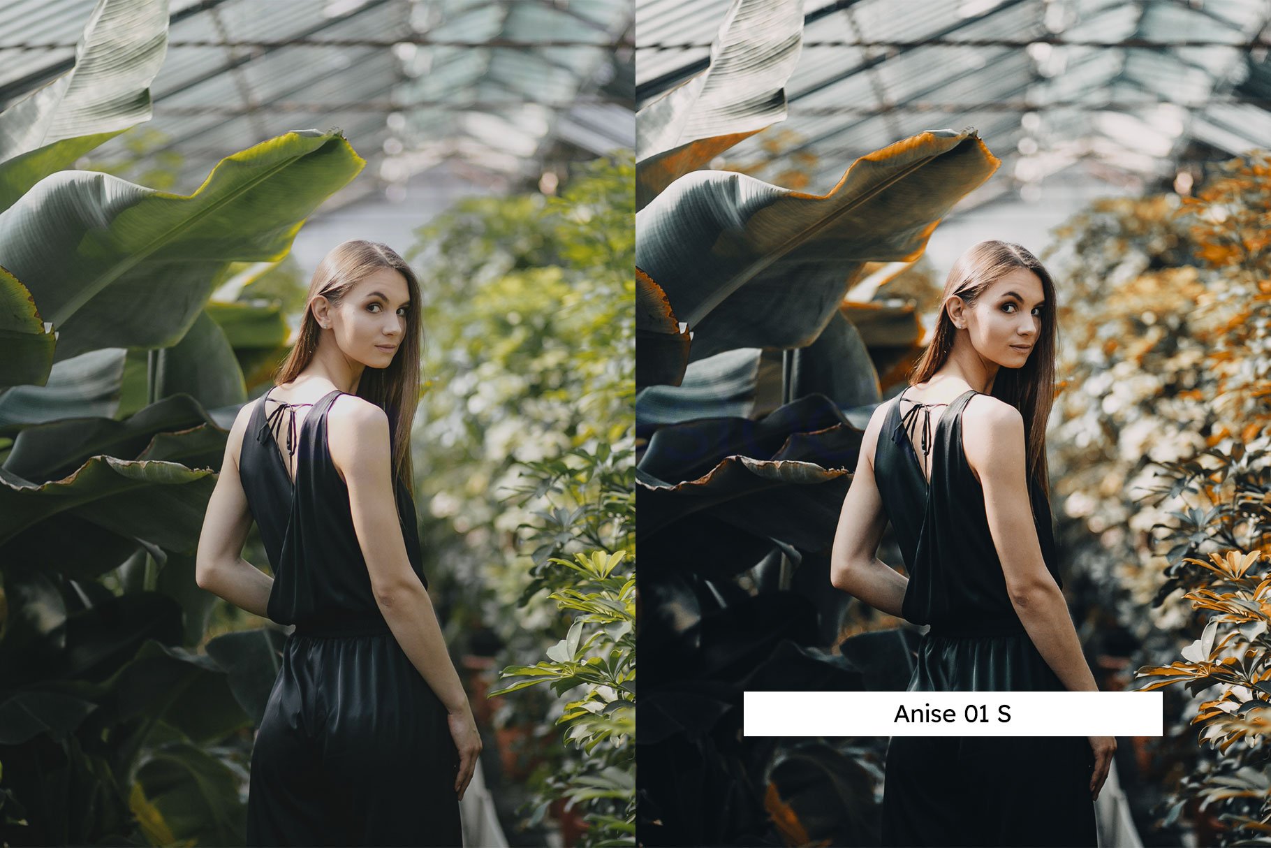 20 Basil Lightroom Presets & LUTspreview image.