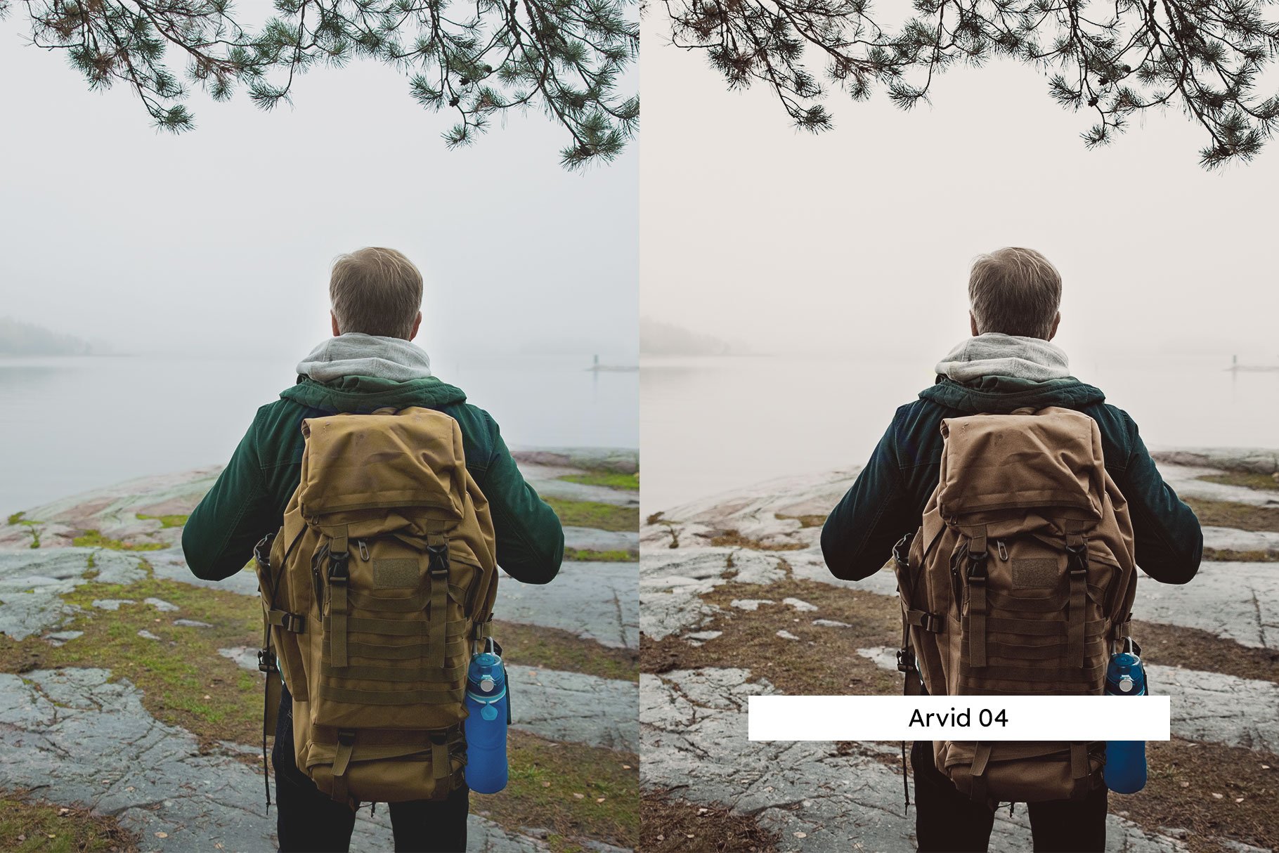 20 Pine Lightroom Presets & LUTspreview image.