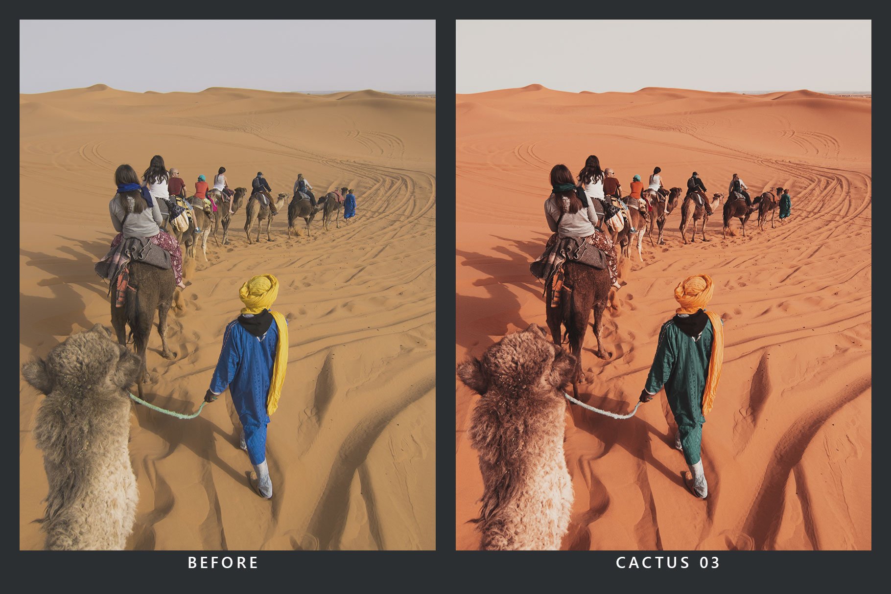 20 Desert Lightroom Presets and LUTspreview image.