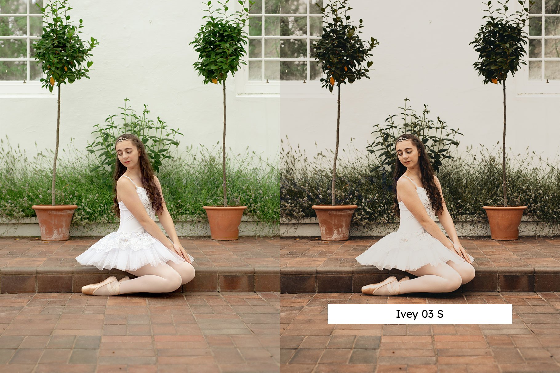 20 Evergreen Lightroom Presets & LUTpreview image.