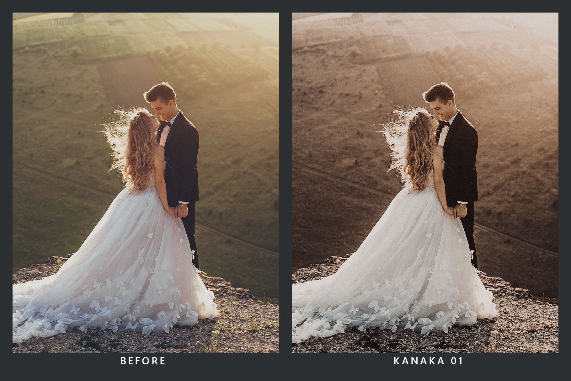 20 Earthy Lightroom Presets & LUTspreview image.