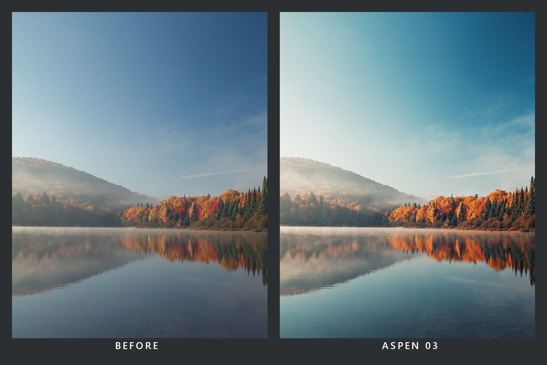 20 Autumn Lightroom Presets & LUTspreview image.