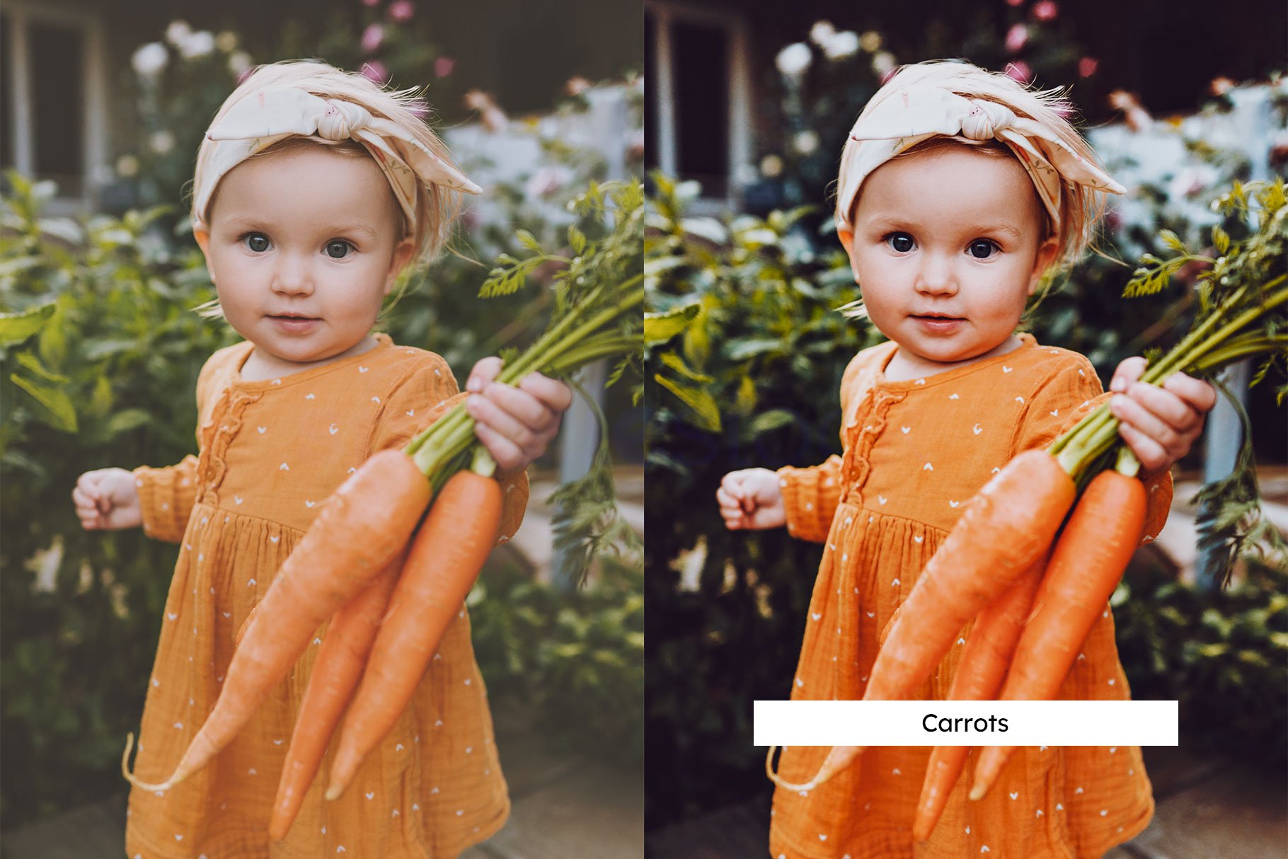 20 Gardening Lightroom Presets & LUTpreview image.