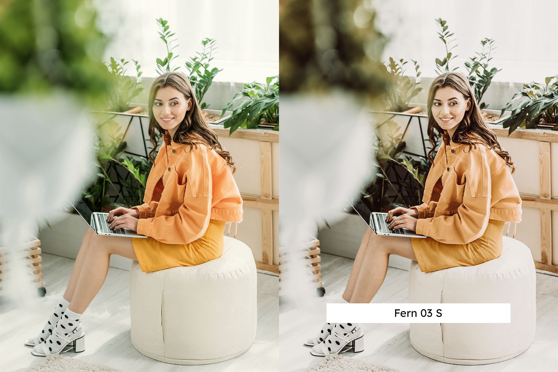 20 Aloe Vera Lightroom Presets & LUTpreview image.