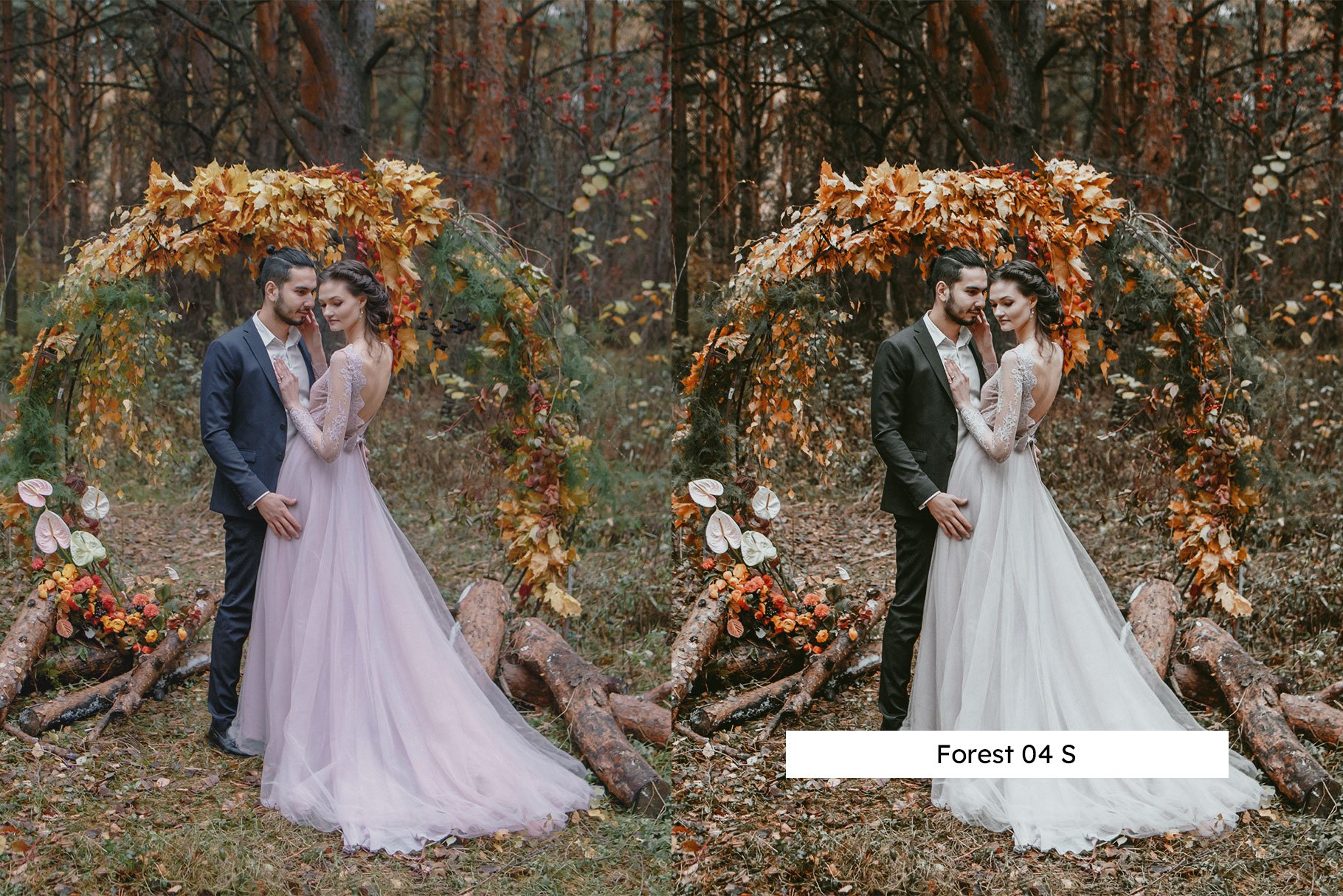 20 Woodlands Lightroom Presets & LUTpreview image.