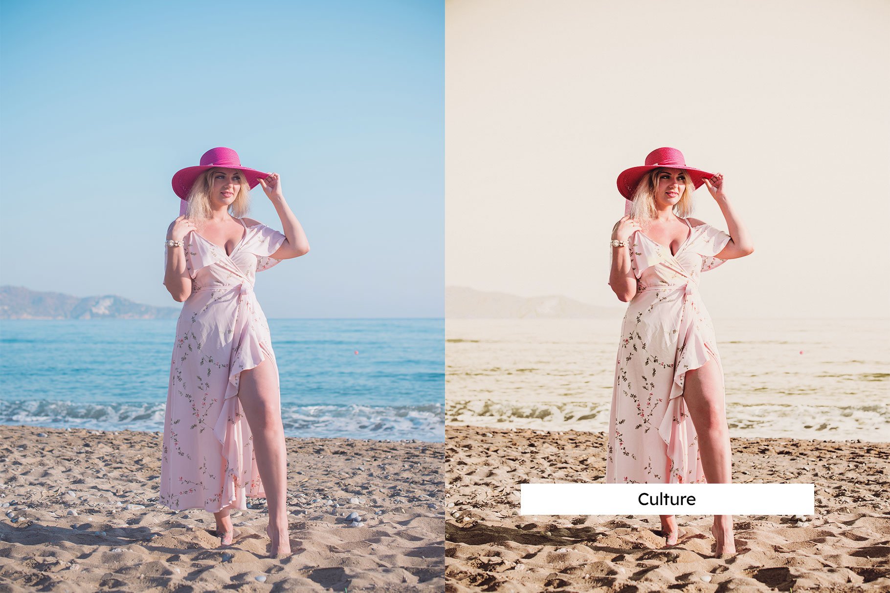 20 Guava Lightroom Presets & LUTspreview image.