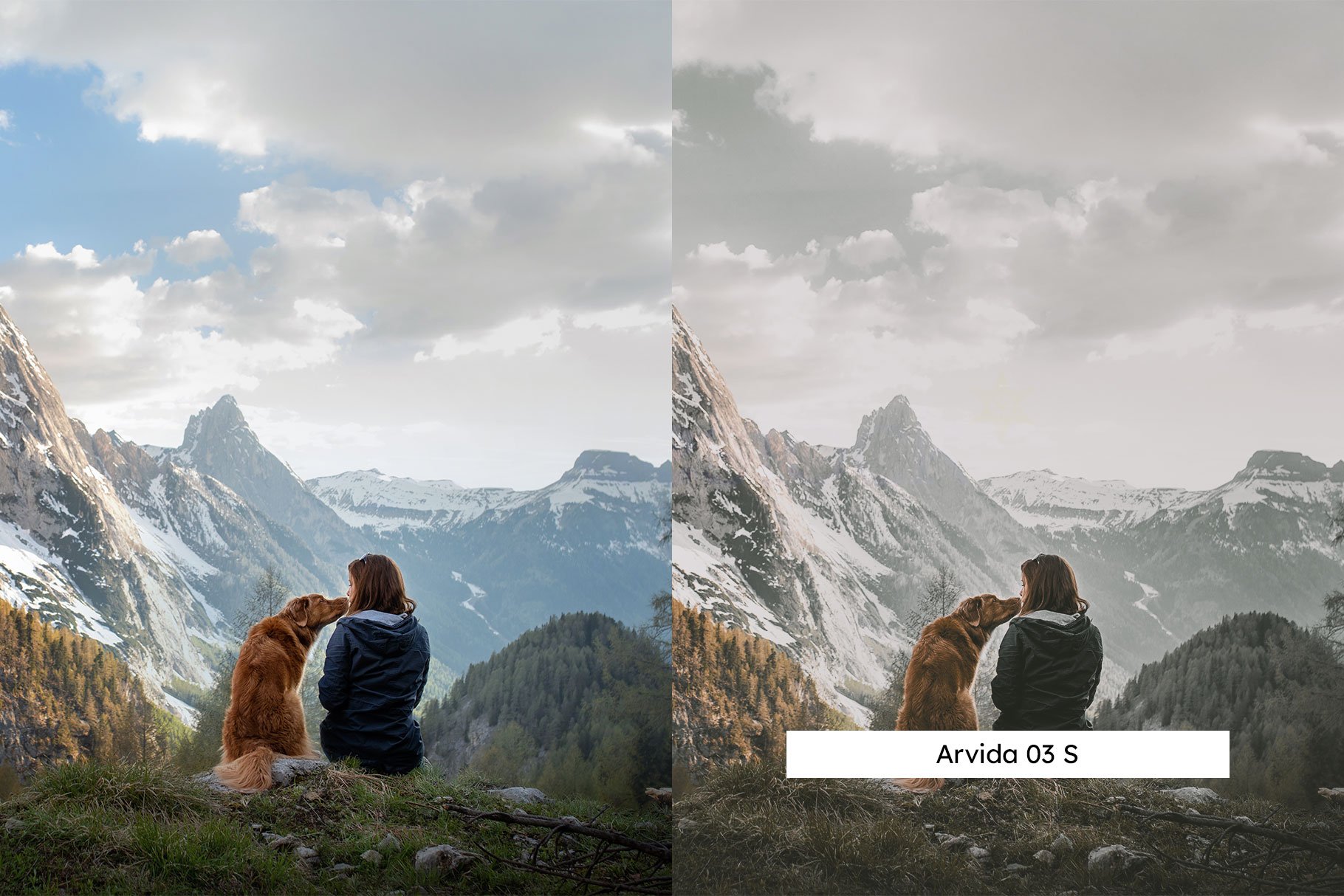 20 Timberland Lightroom Presets LUTspreview image.