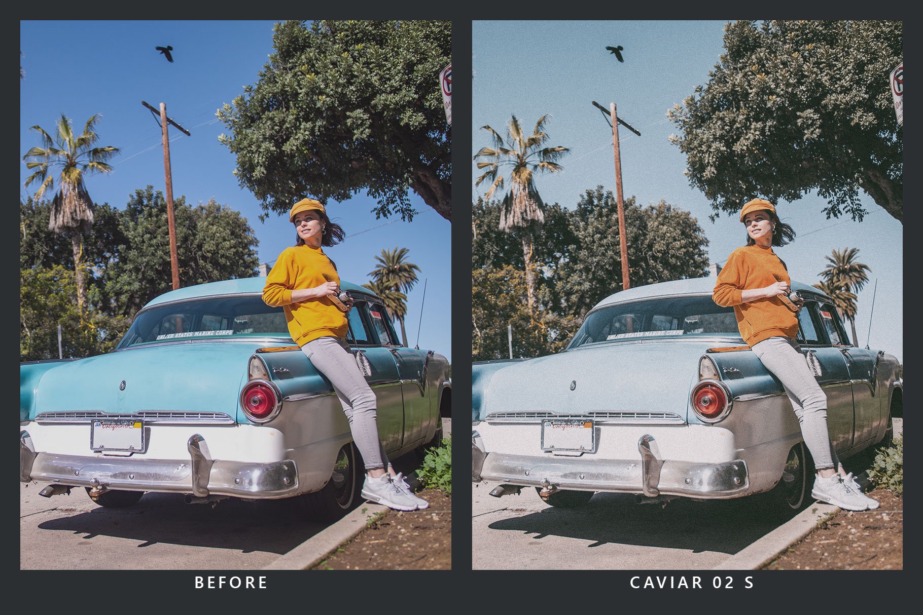 20 Vintage Lightroom Presets & LUTspreview image.