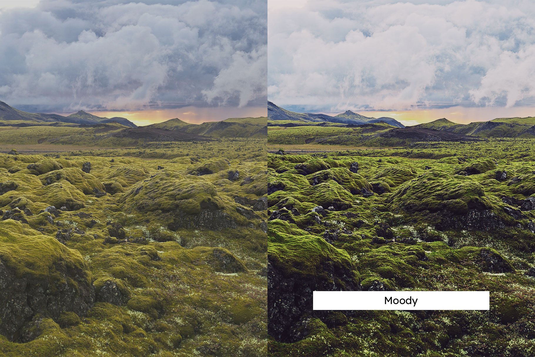 20 Moss Lightroom Presets & LUTspreview image.