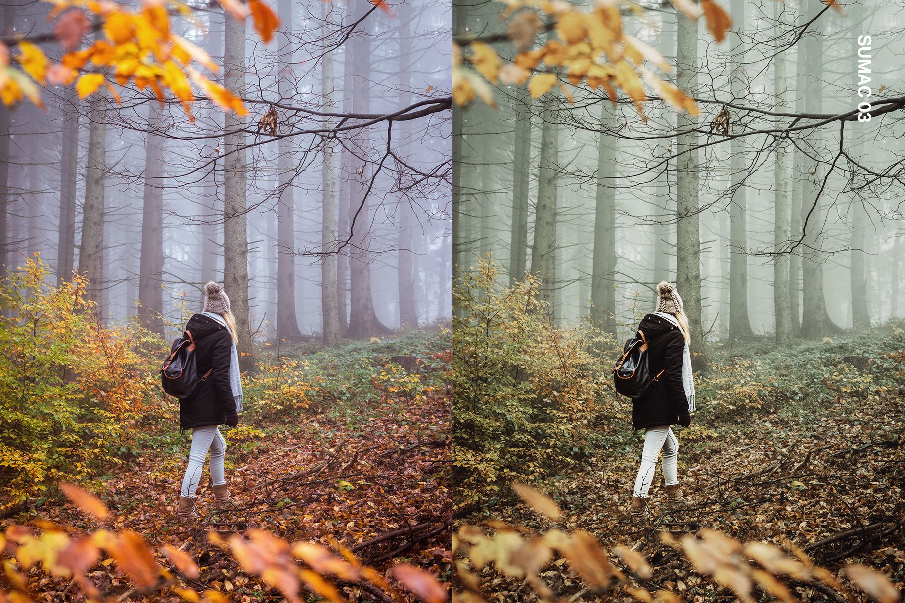 25 November Lightroom Presets & LUTspreview image.