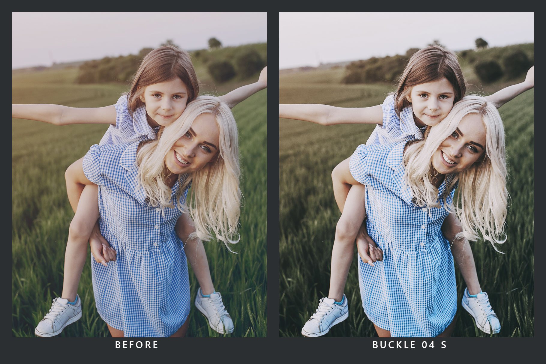 20 Blueberry Lightroom Presets & LUTpreview image.