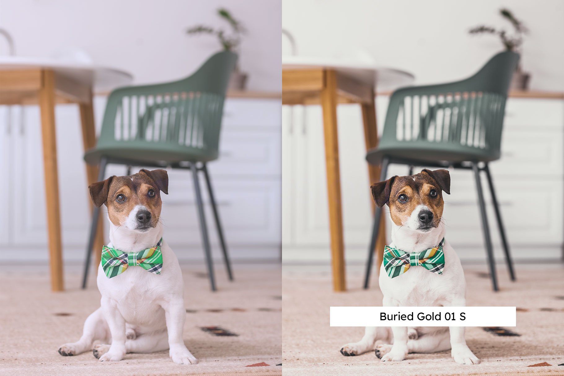 20 Clover Lightroom Presets & LUTspreview image.