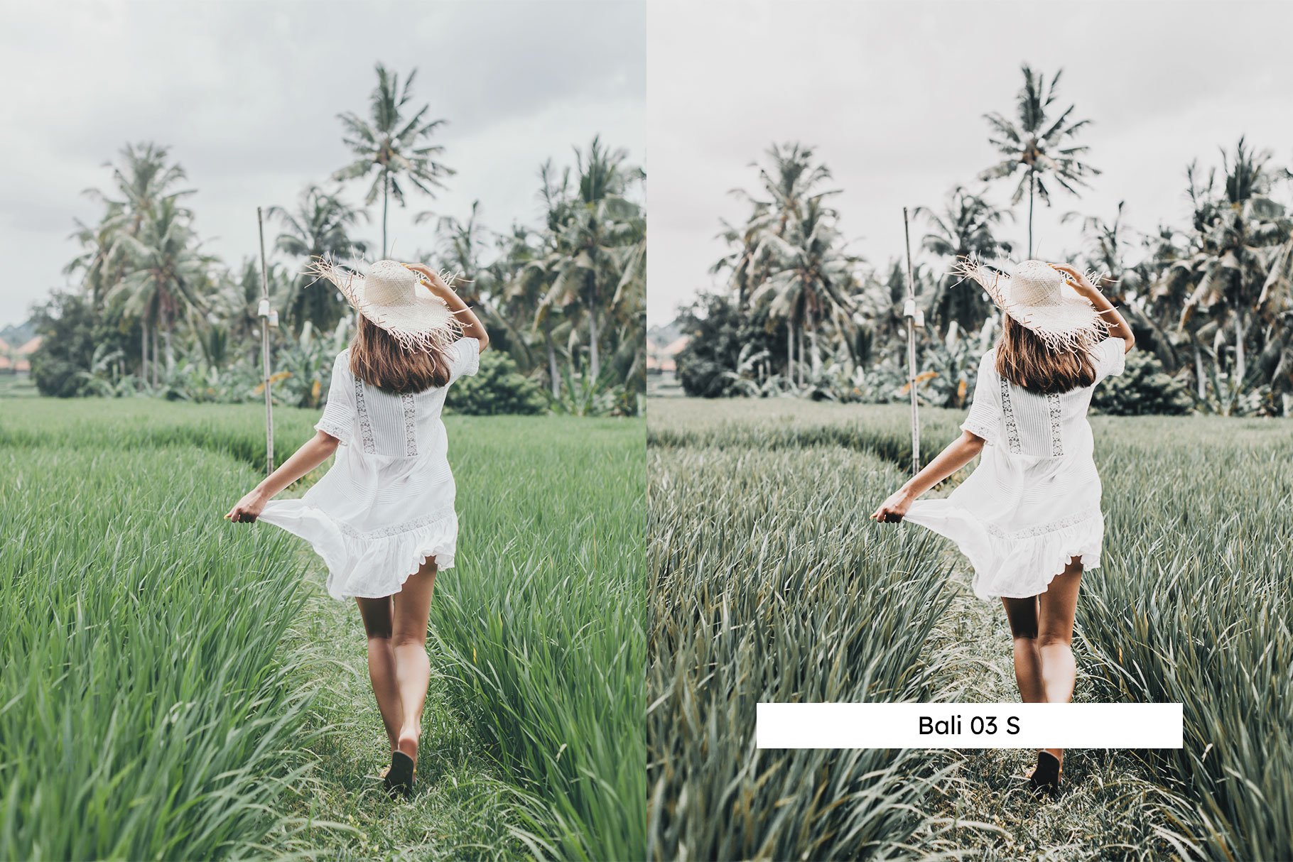 20 Avocado Lightroom Presets & LUTspreview image.