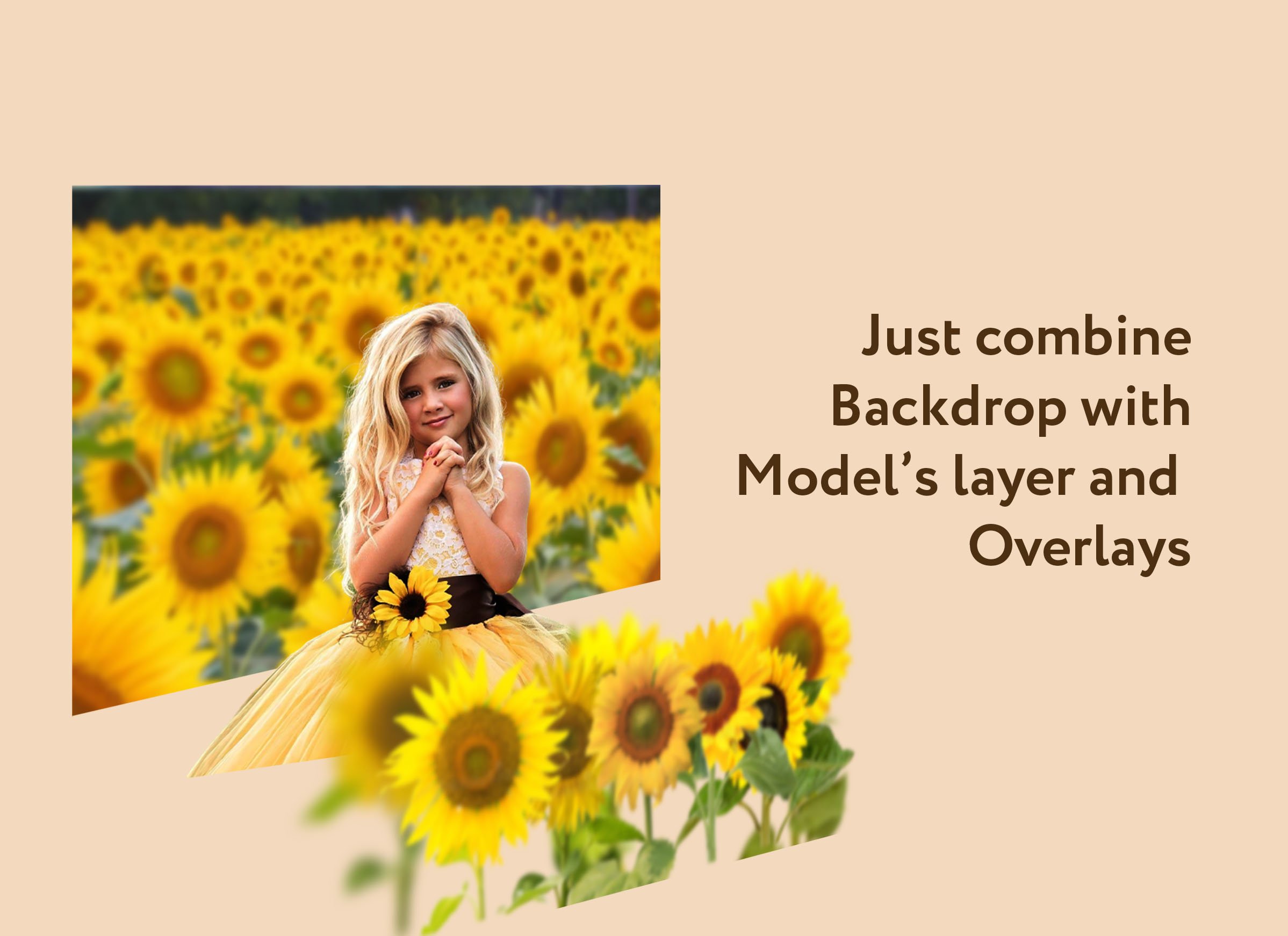 Sunflower Photo Overlays + Backdropspreview image.