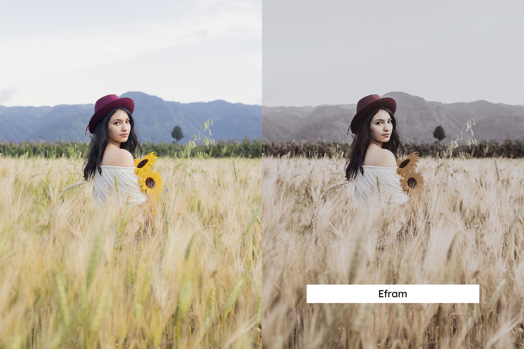 20 Rye Lightroom Presets & LUTspreview image.