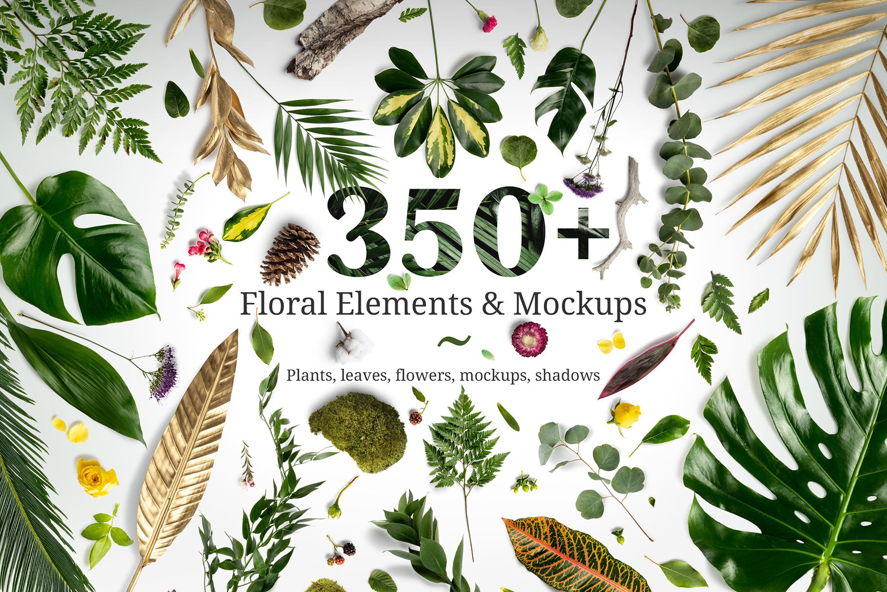 The cover of the book 350 + floral elements and mockups.