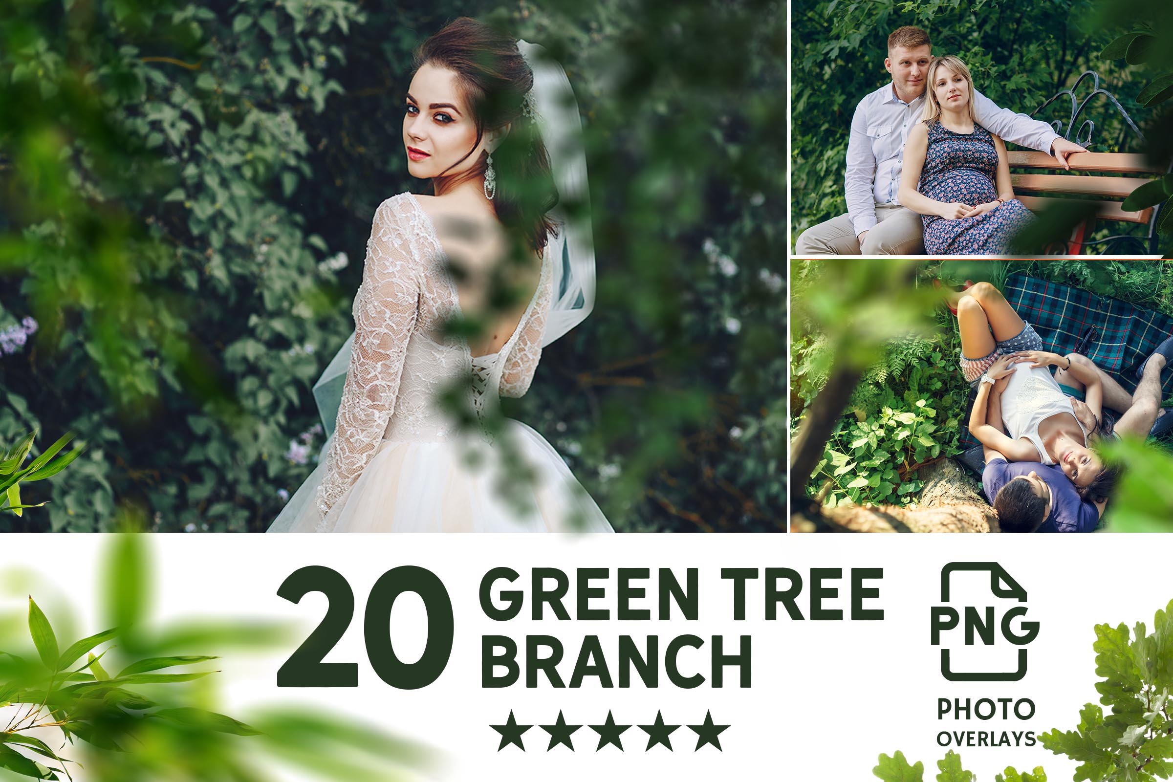 031. green tree branch 346