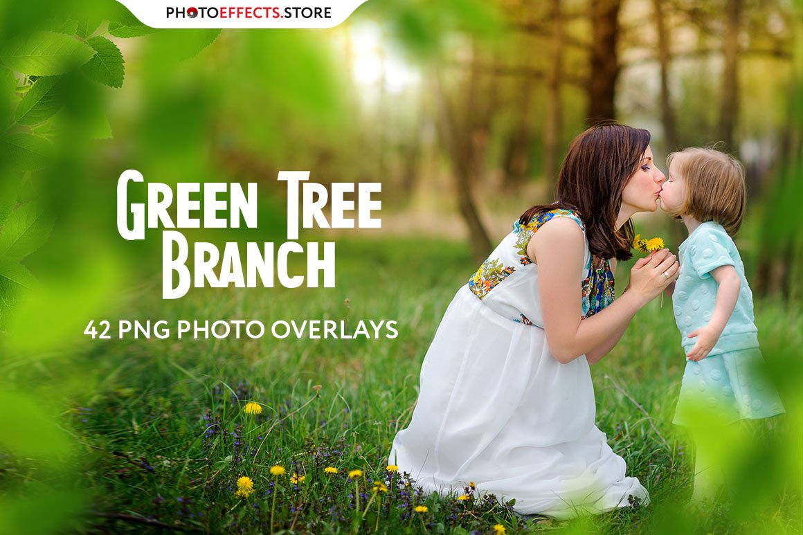 42 Green Tree Branch Photo Overlayscover image.