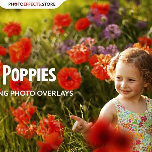 17 Poppie Flowers Photo Overlayscover image.