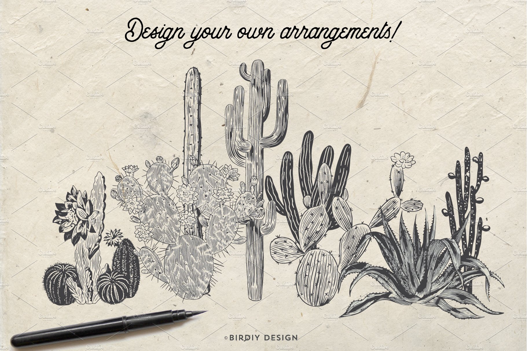 Drawing of a cactus and cacti on a piece of paper.