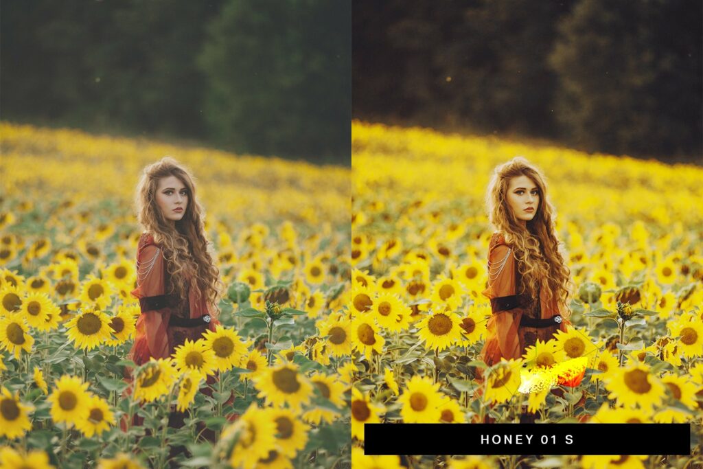 50 Moody Lightroom Presets and LUTs – MasterBundles