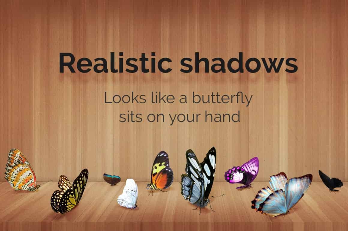 04 butterflies overlays 607