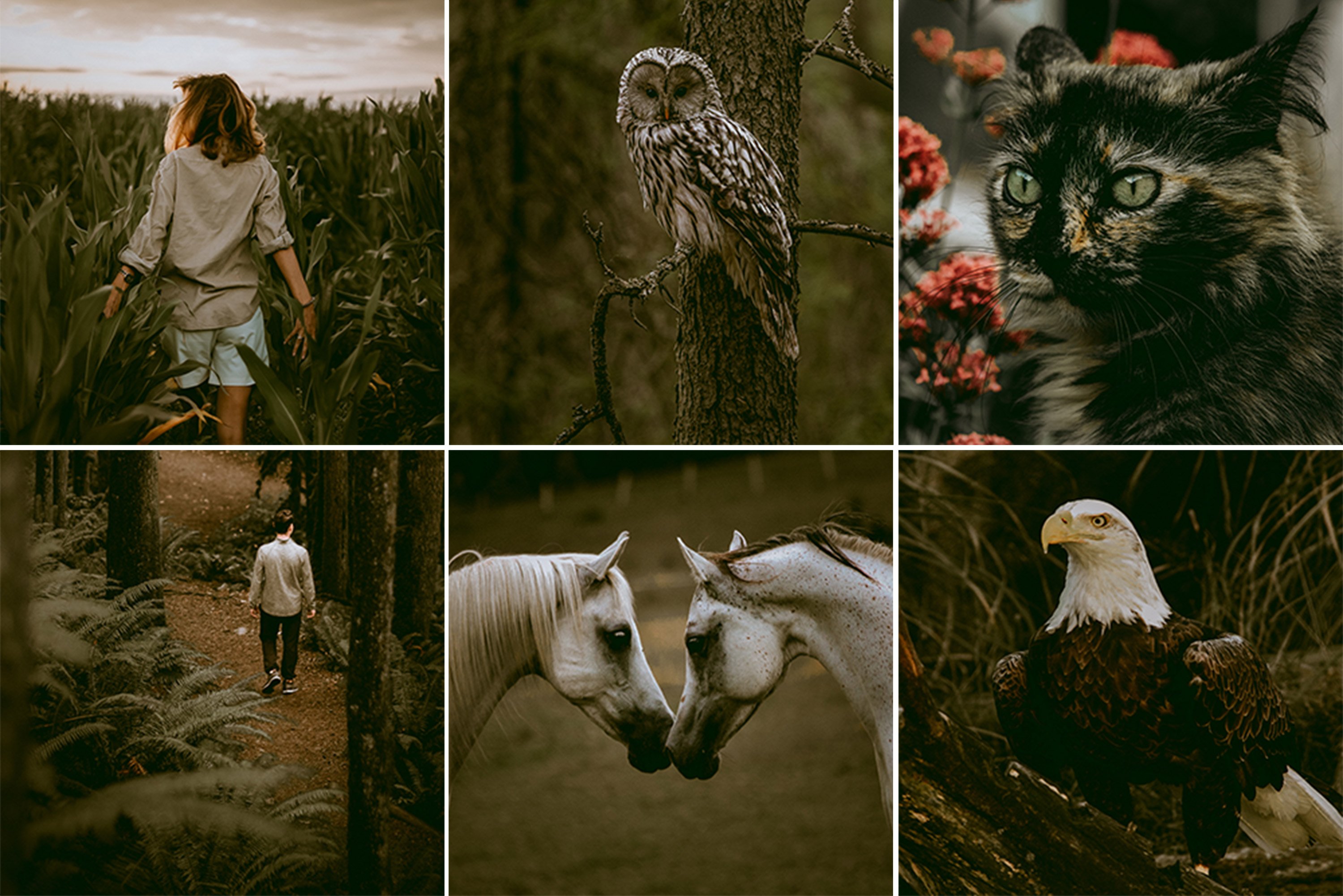 04 moody lightroom preset promo template 14