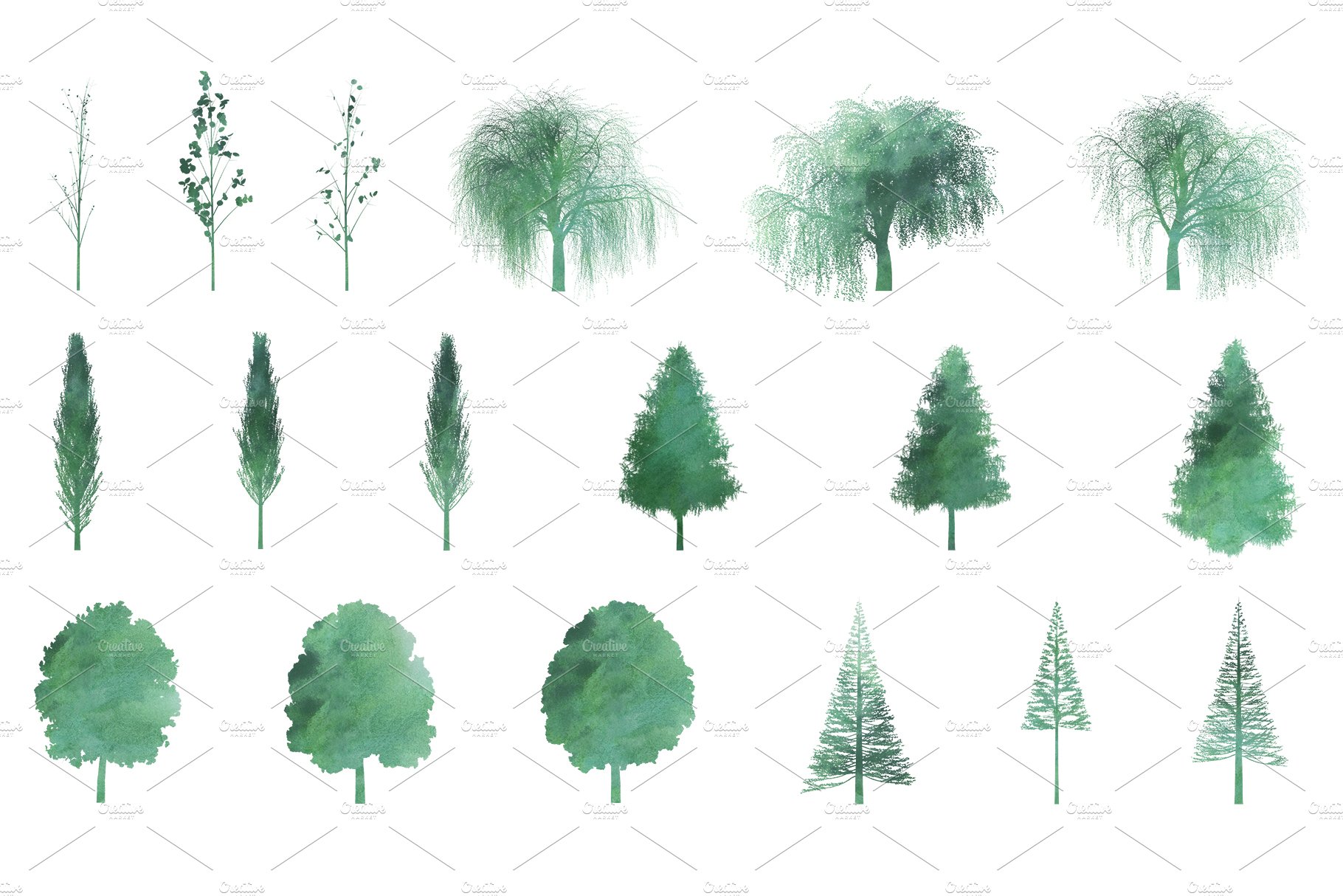 Bunch of different types of trees.