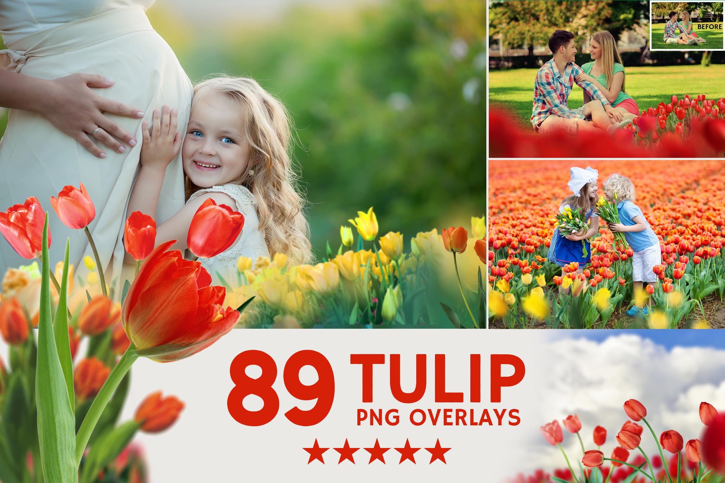 042. tulips 505