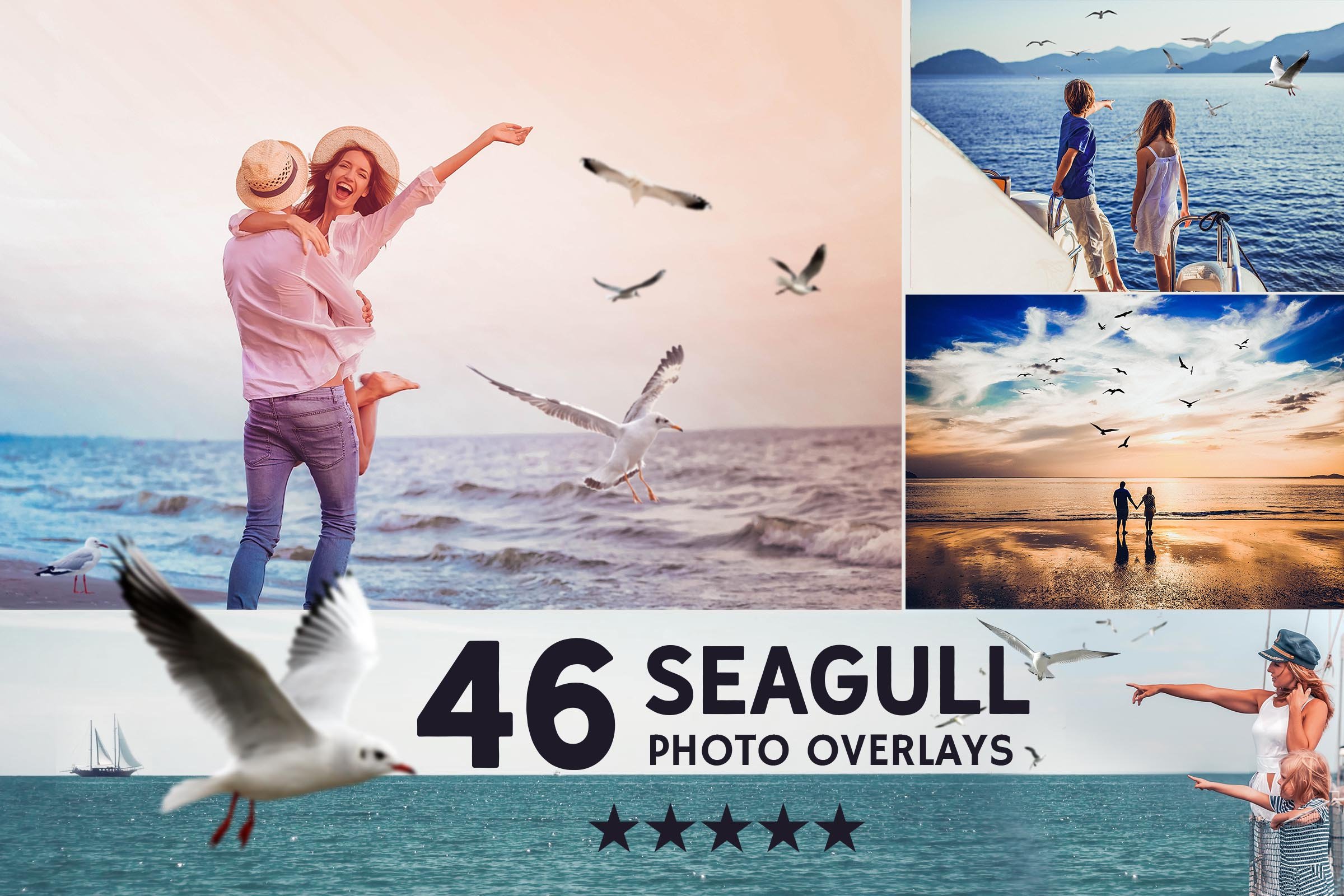 043. seagull 157