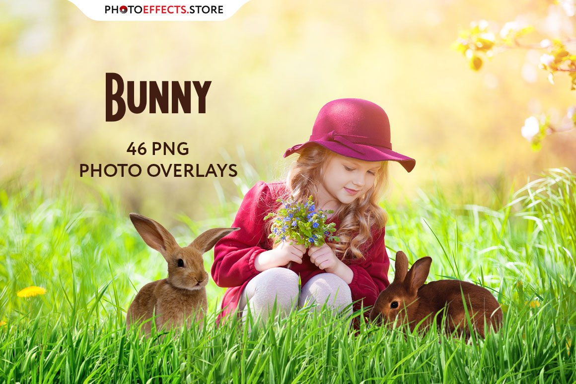 46 Bunny Photo Overlayscover image.
