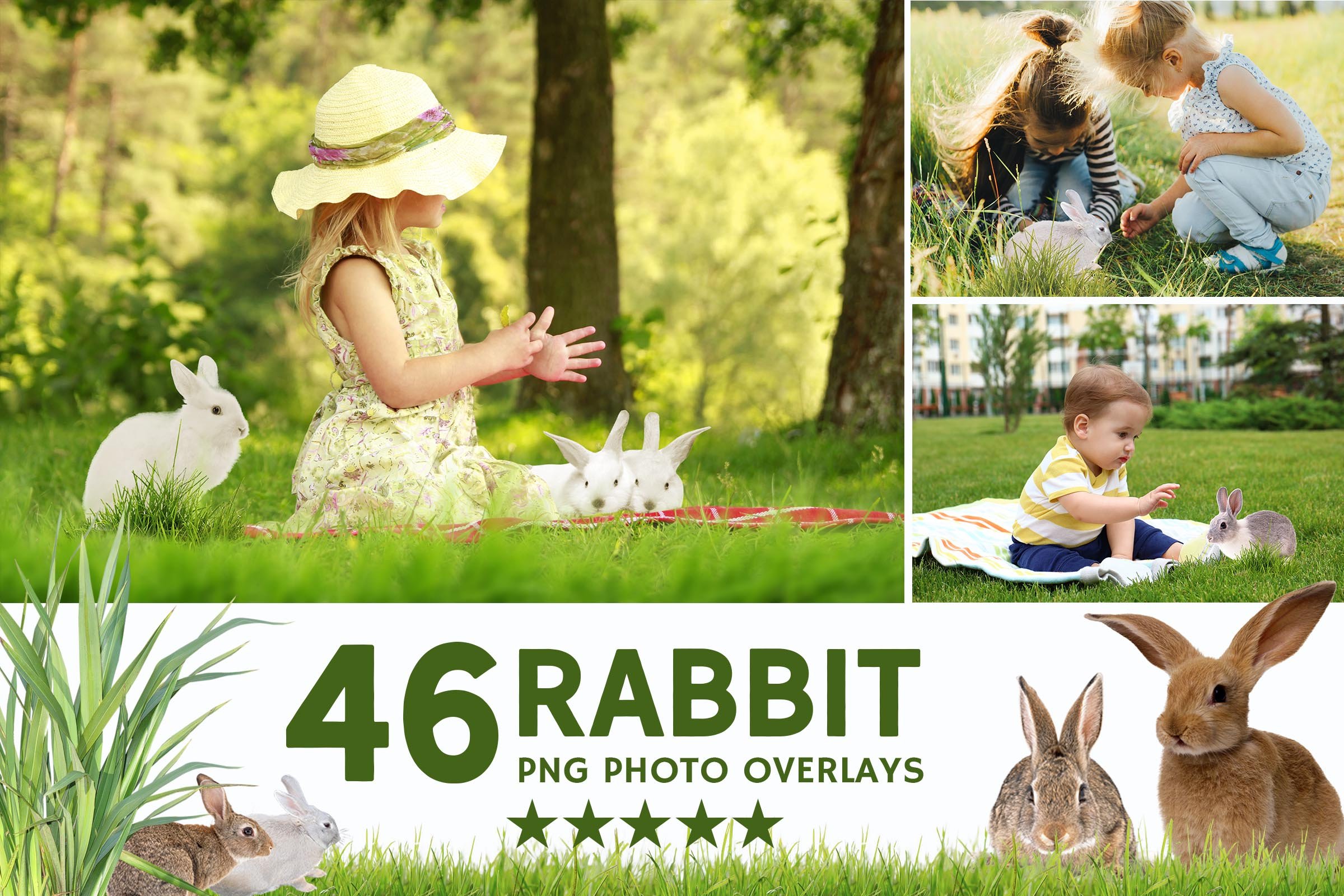 044. rabbits 546
