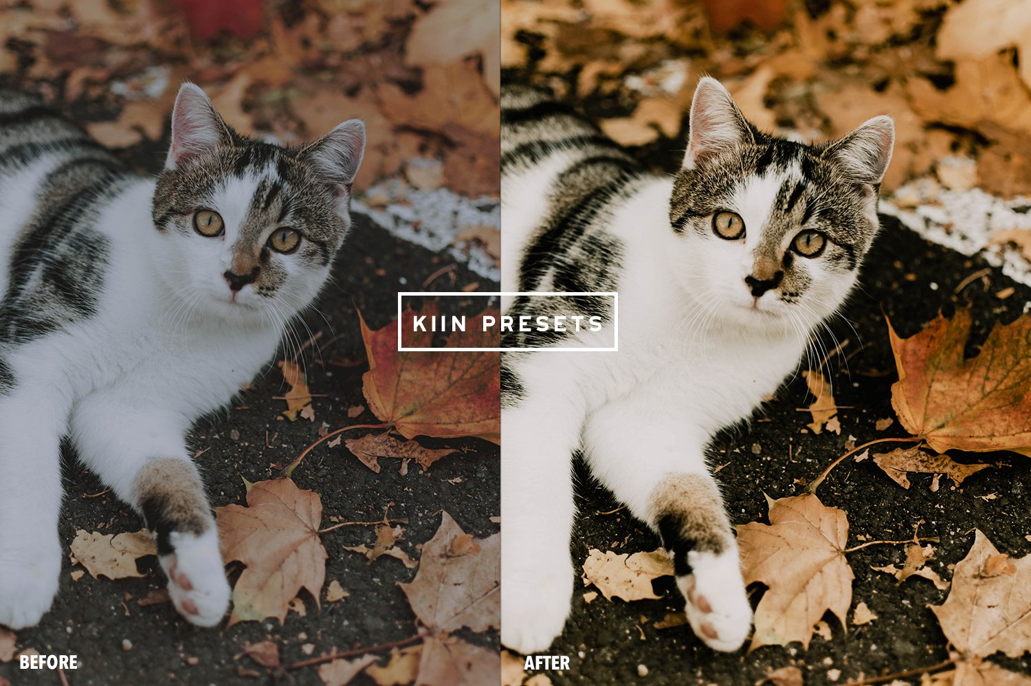 04kiin lightroom presets september presets warm filter fall presets autumn filter autumn presets fall aesthetic pumpkin spice latte pumpkin preset 756