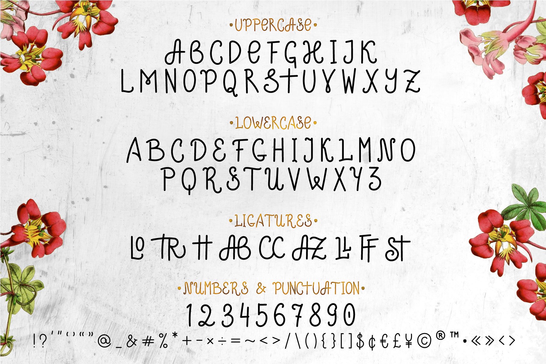 Stay True font preview image.