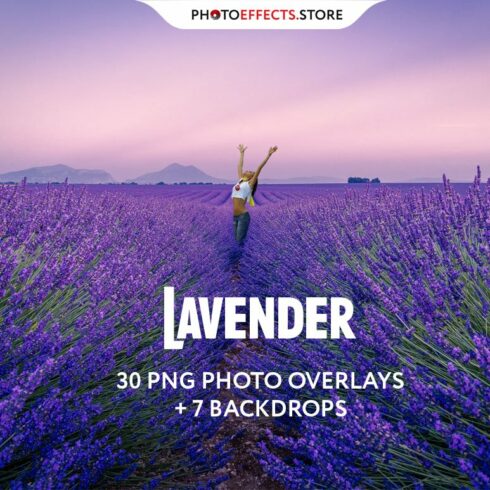 30 Lavender Photo Overlayscover image.