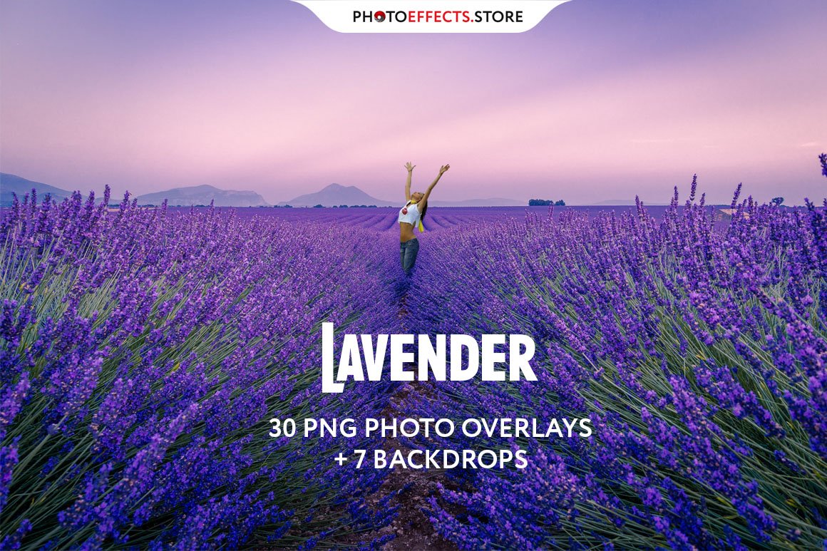 30 Lavender Photo Overlayscover image.