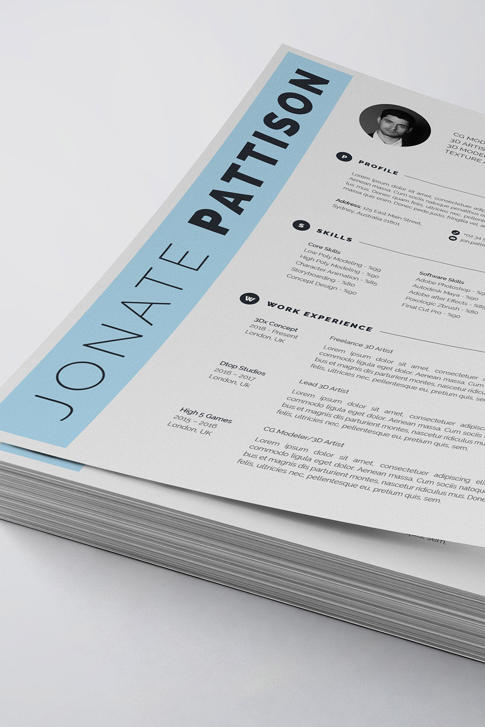 Professional resume template with a blue border.