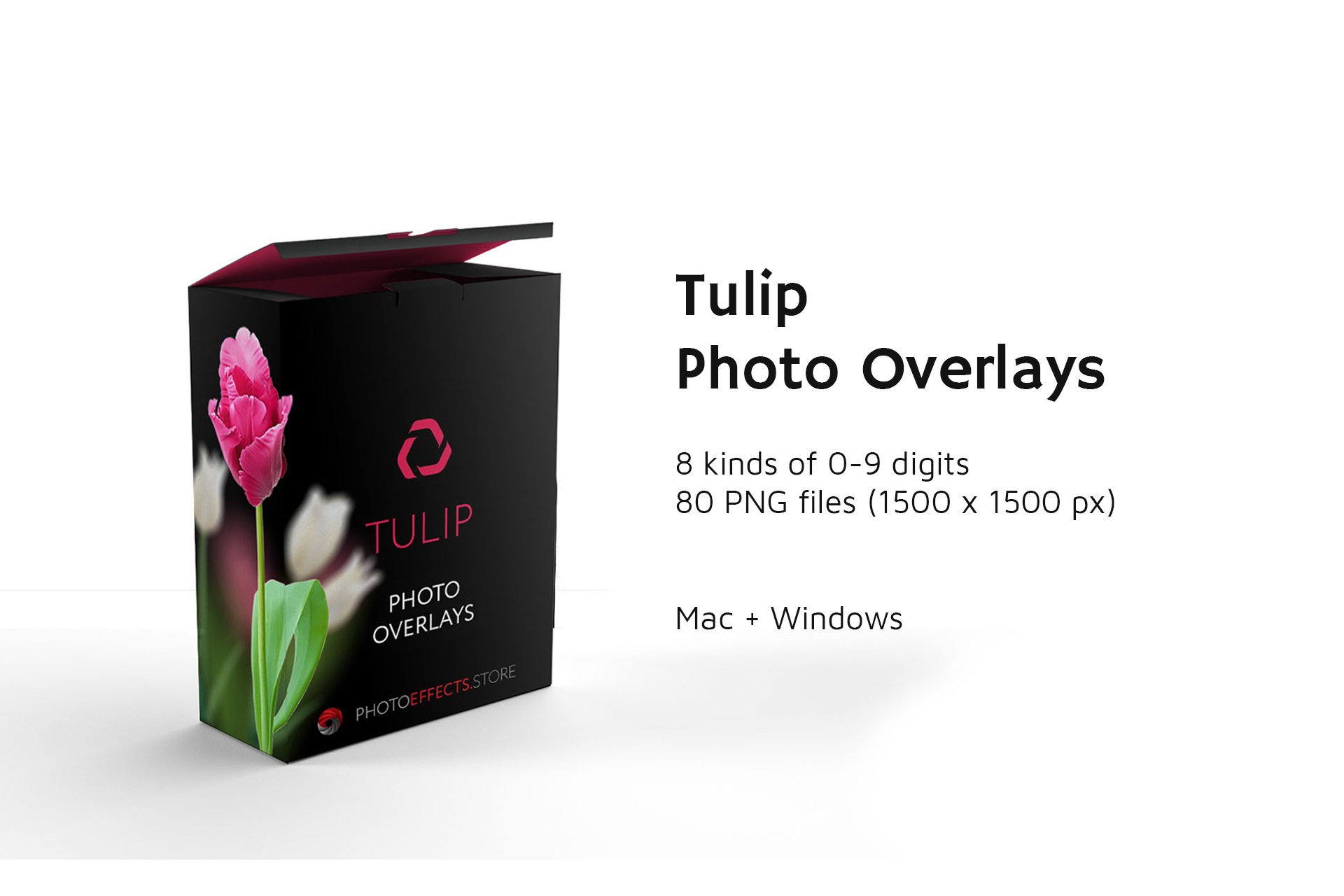 89 Tulip Photo Overlayspreview image.