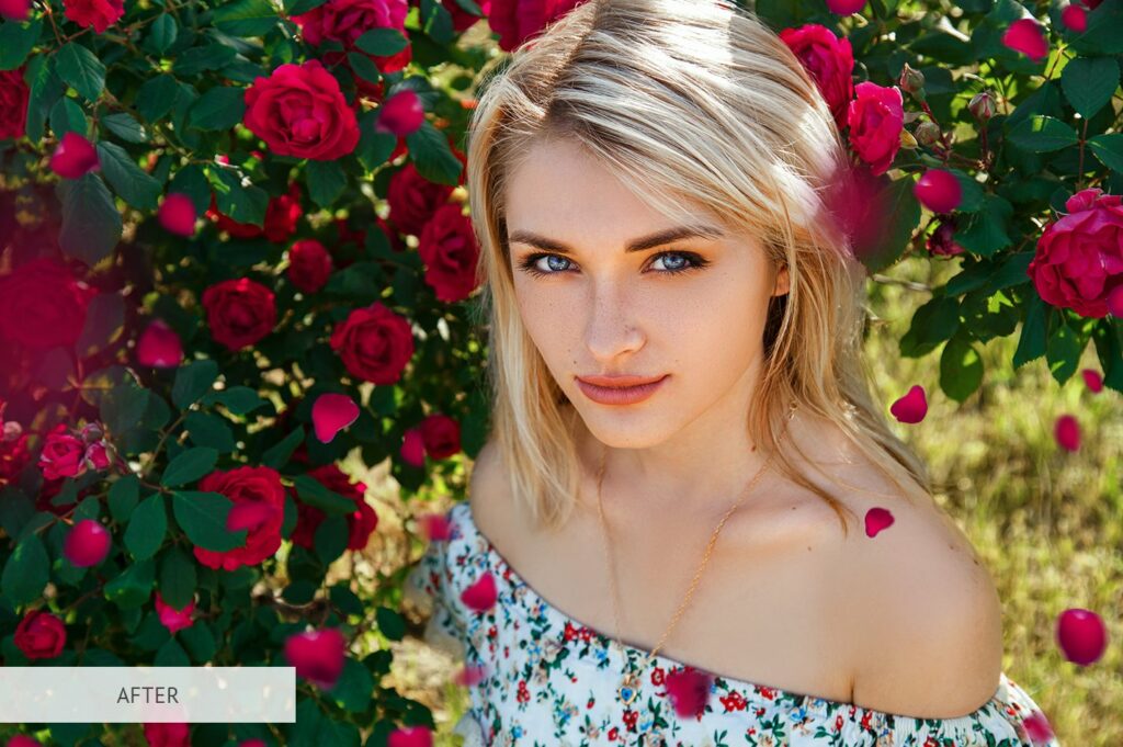 Rose Petals Photoshop Overlays – MasterBundles