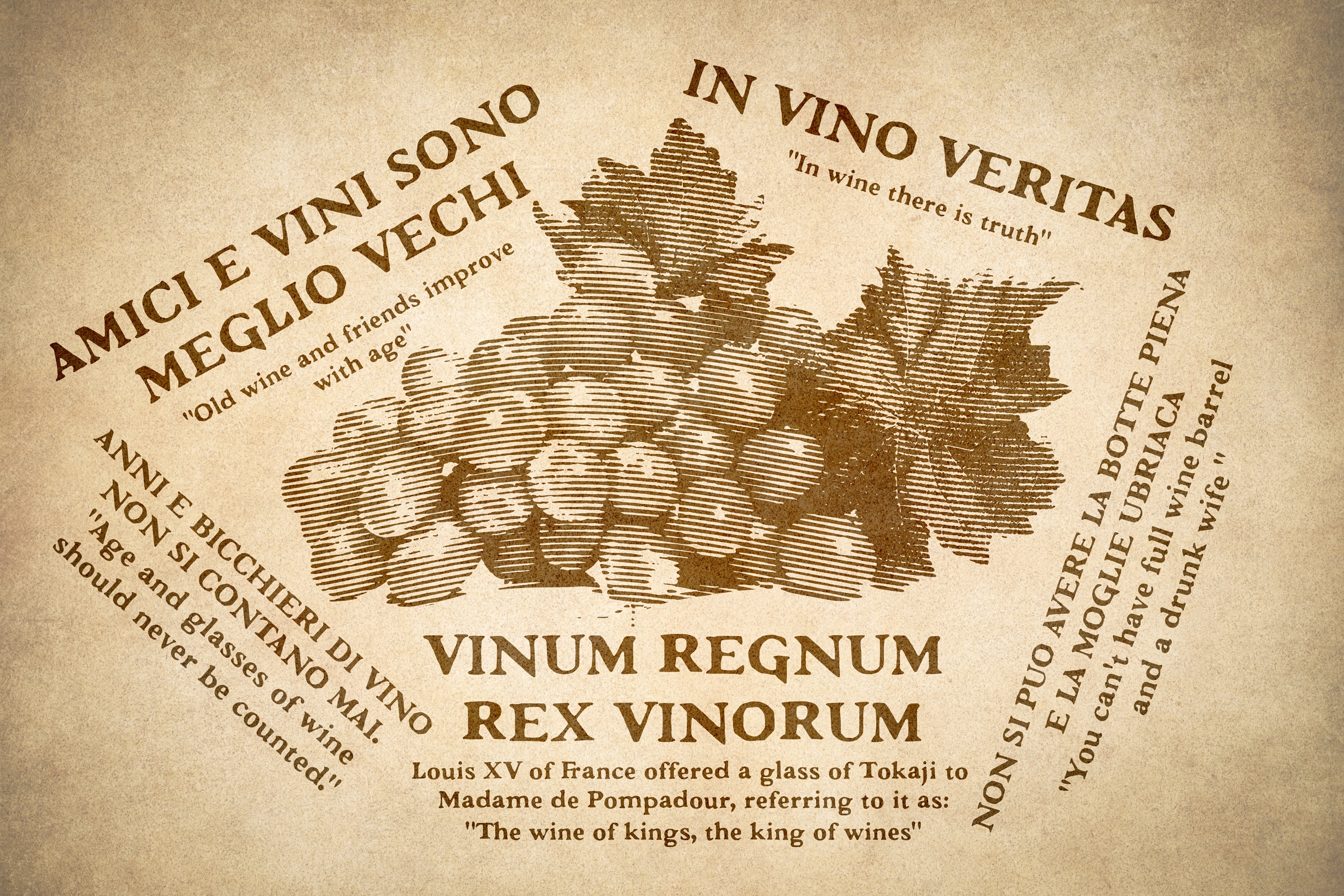 07 vinum regnum 877