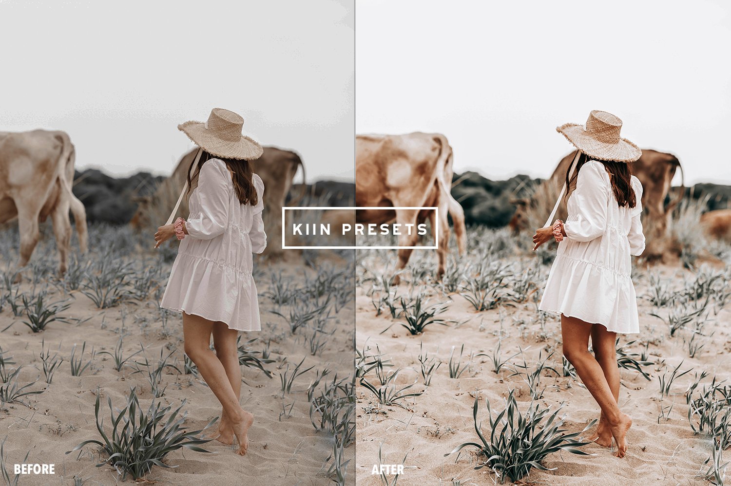 08kiin presetslightroom presetsmobile presets wanderlust presets travel presets boho preset travel filter travel influencer presets forest presets 474