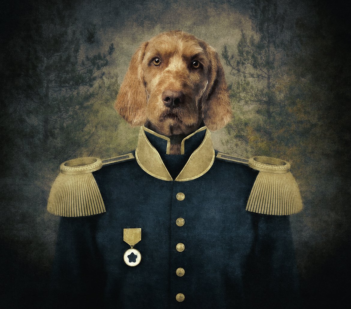 Dog General Photoshop Actionpreview image.