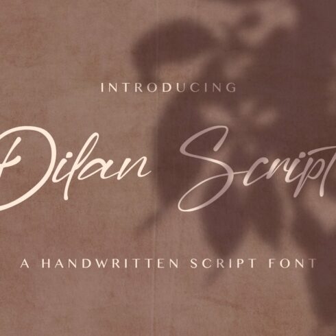 Dilan Script - Modern Script Font cover image.