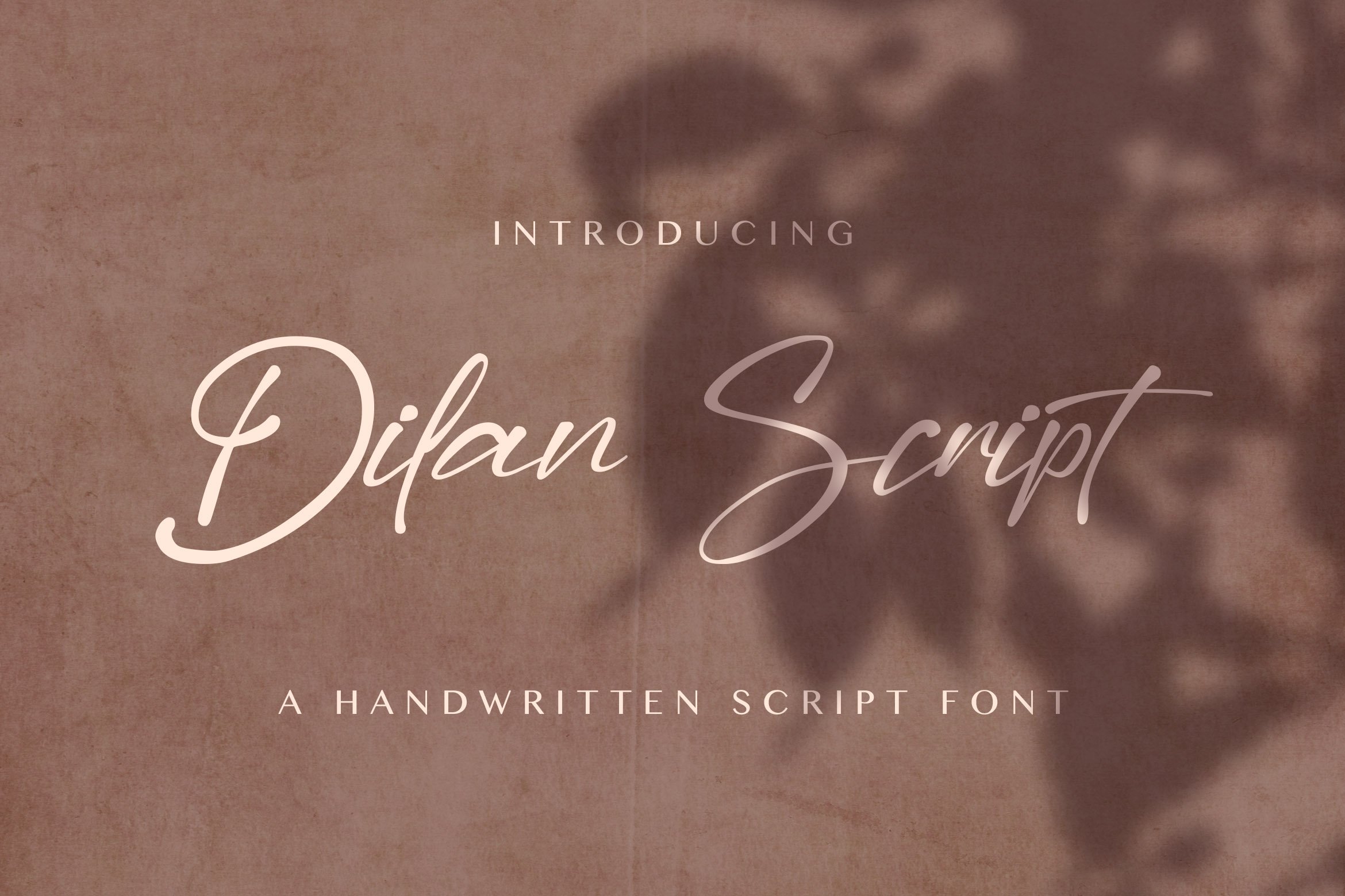 Dilan Script - Modern Script Font cover image.