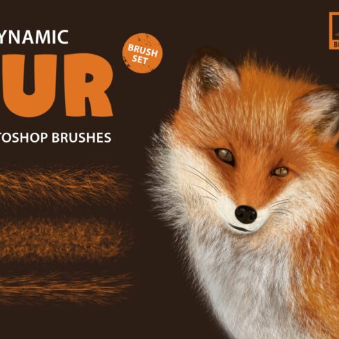 Fur Photoshop Brushescover image.