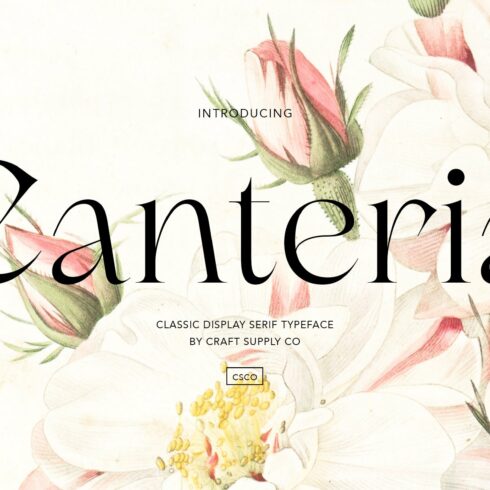 Canteria - Classic Display Serifcover image.