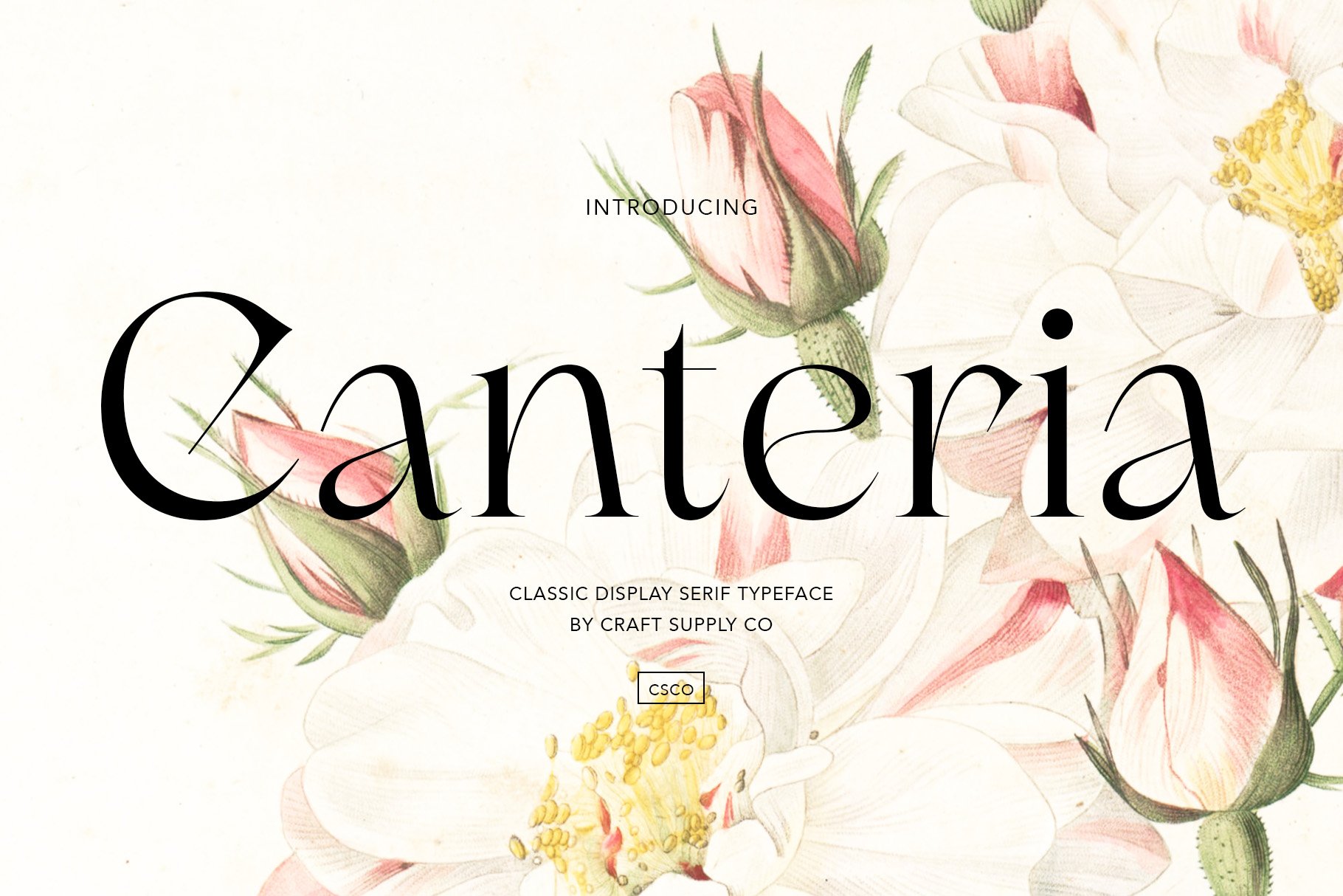 Canteria - Classic Display Serifcover image.