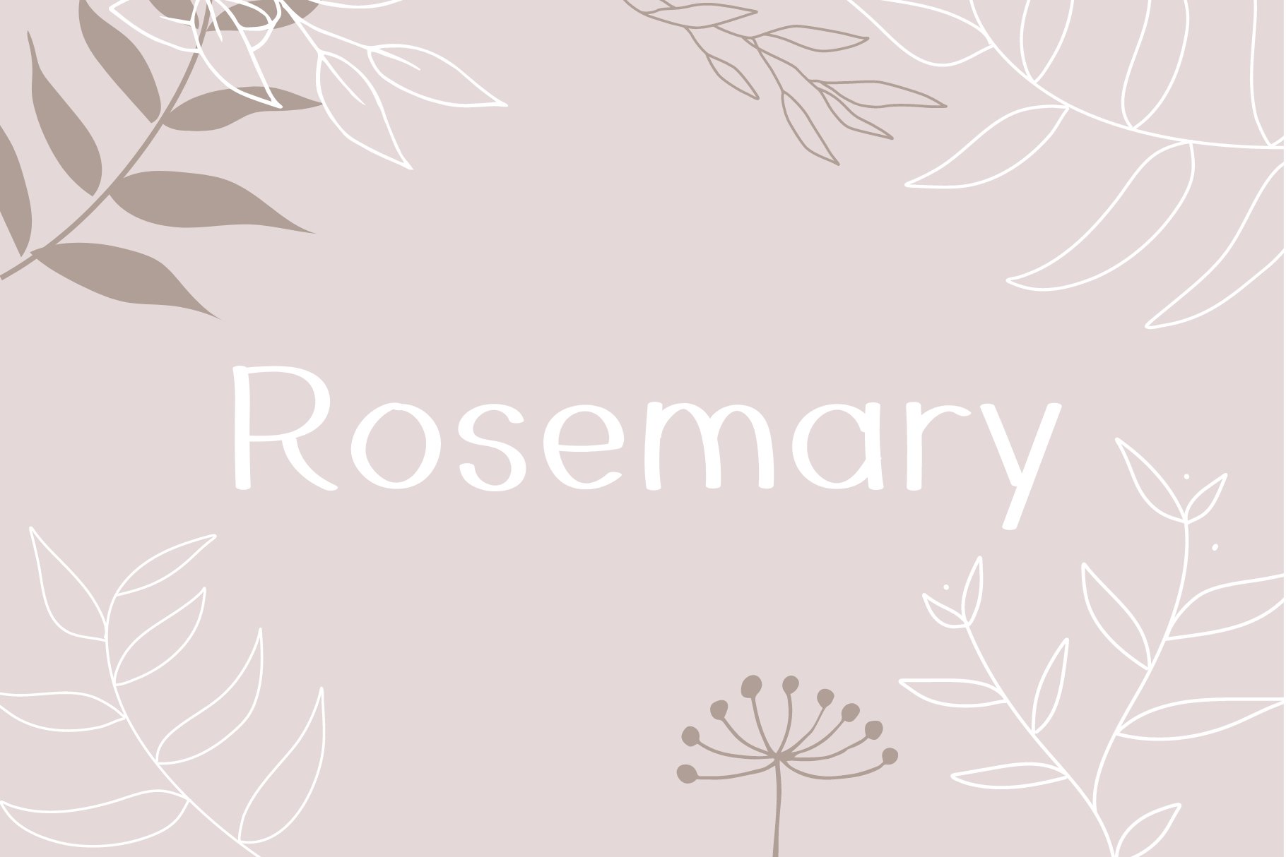 Rosemary cover image.