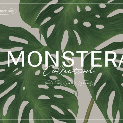 Monstera Tropical Collection cover image.